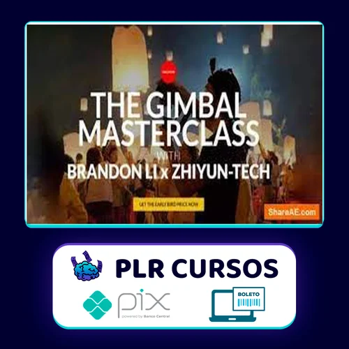 The Gimbal Masterclass - Brandon Li [INGLÊS]