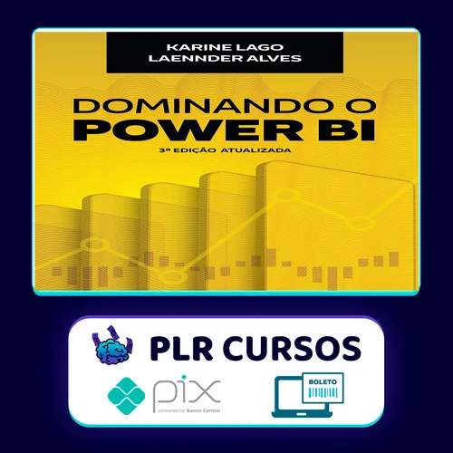 Power Bi Avançado - Karine Lago