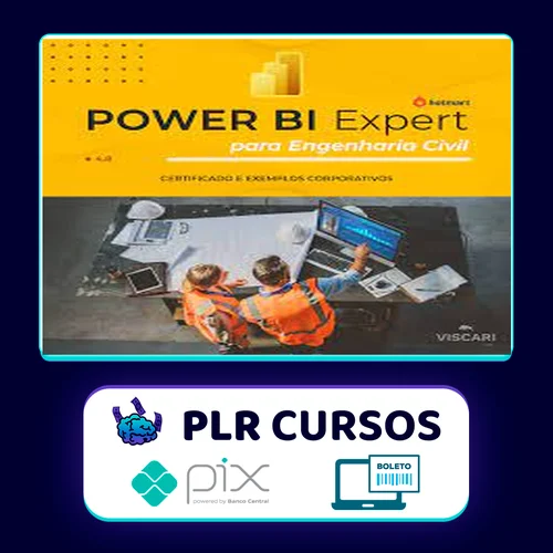 Power BI para Engenharia Civil - Viscari Inc