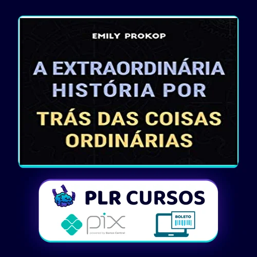 A Extraordinária História por Trás das Coisas Ordinárias - Emily Prokop