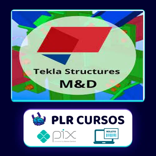 Curso Tekla Structures M&D - Fernando de Cesaro