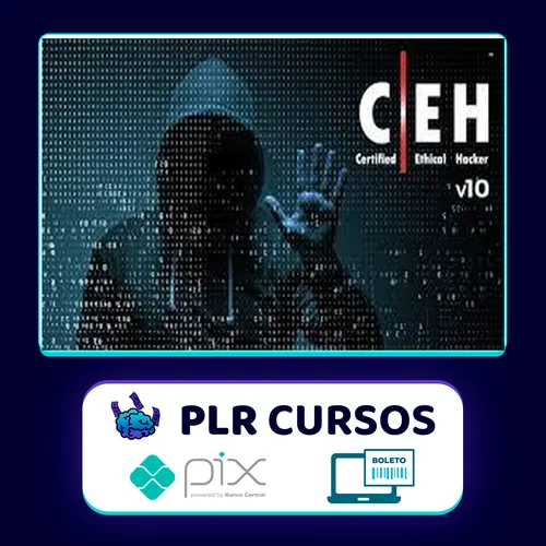 ITpro tv Certified Ethical Hacker v10 (CEH v10) - EC-Council [INGLÊS]