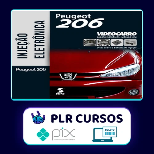 Injeção Eletrônica: Peugeot 206 - VideoCarro