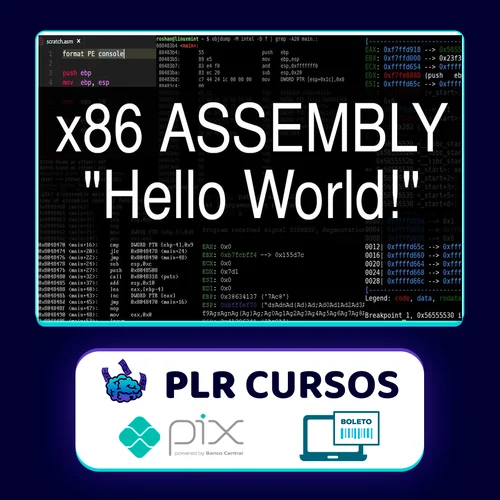 X86 Assembly Programming - Lucas Mayrhofer [INGLÊS]