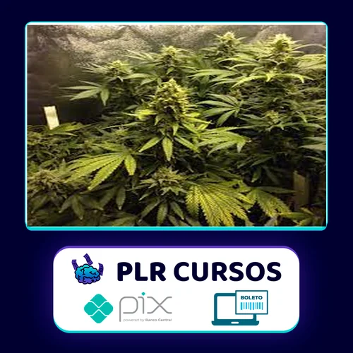 Cultivo Indoor de Plantas Medicinais - Jean Silva