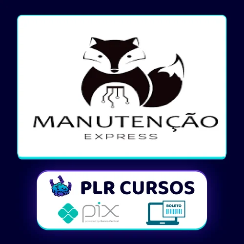 Manutencao Express: Formatacao e Reparo de Computadores - Henrique Magalhães