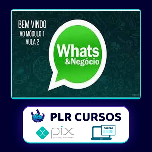 Como Vender Mais Usando o Whatsapp - Luiz Felipe Castro