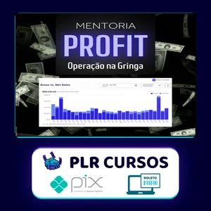Mentoria Meta Profit - Bruno Henrique